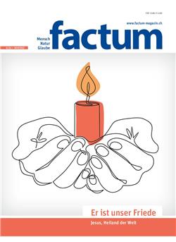 Factum Cover