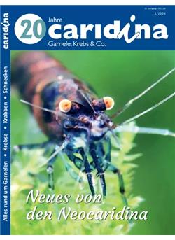 Caridina Cover