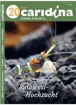 Caridina Cover