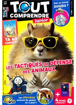 Tout comprendre Junior Cover