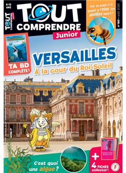 Tout comprendre Junior Cover