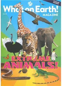 What on Earth (UK) Cover