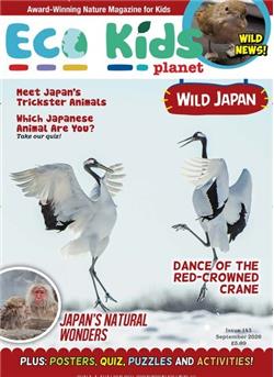 Eco Kids Planet (UK) Cover