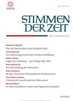 Stimmen der Zeit Cover