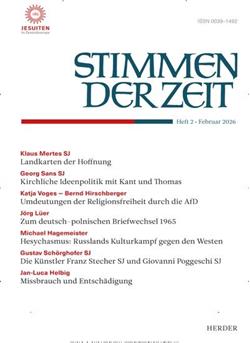 Stimmen der Zeit Cover
