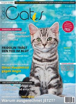 Our Cats Cover