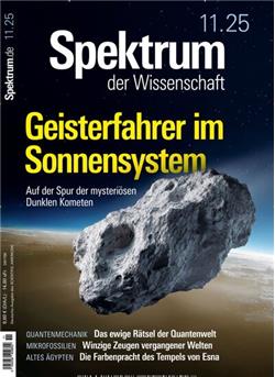 Spektrum der Wissenschaft Cover