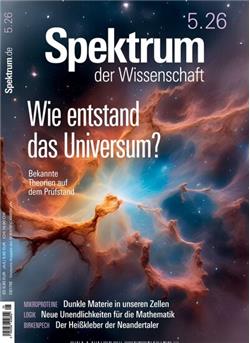 Spektrum der Wissenschaft Cover