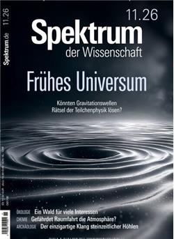 Spektrum der Wissenschaft Cover