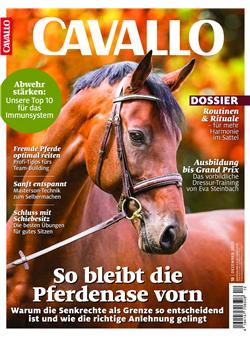 Cavallo E-Paper Cover