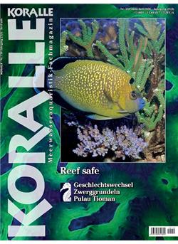 Koralle Cover