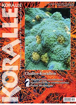 Koralle Cover