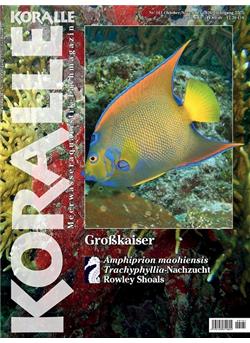 Koralle Cover