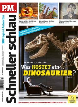 P.M. Schneller schlau Cover