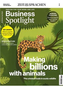 Business Spotlight Cover