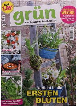 Grün Cover