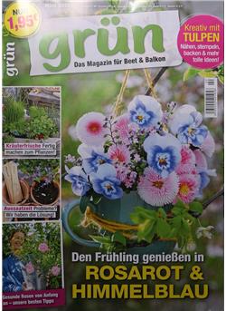 Grün Cover