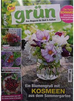 Grün Cover