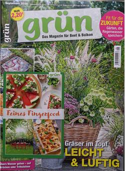 Grün Cover