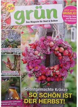 Grün Cover