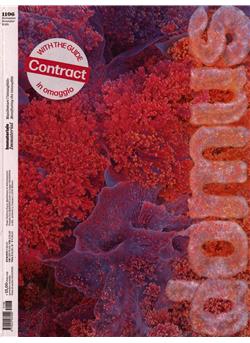 Domus (IT) Cover