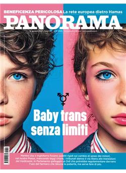 Panorama Cover