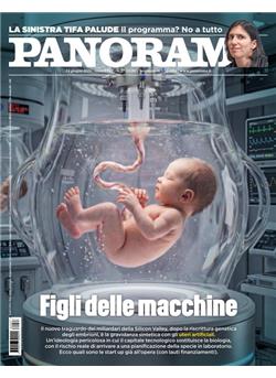 Panorama Cover