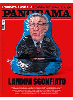 Panorama Cover