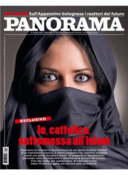 Panorama Cover
