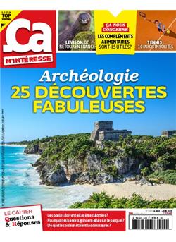Ca m'interesse Cover