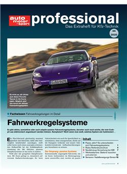 Auto Motor und Sport professional Cover