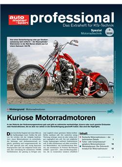 Auto Motor und Sport professional Cover