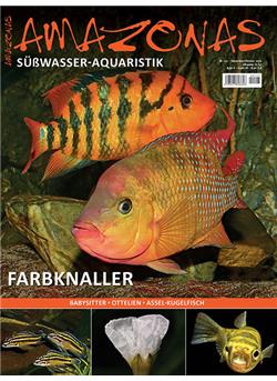 Amazonas Cover