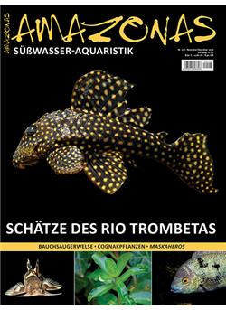 Amazonas Cover