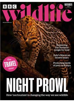 BBC Wildlife Cover