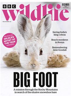 BBC Wildlife E-Paper Cover