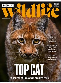 BBC Wildlife Cover