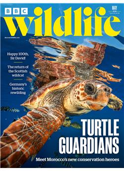 BBC Wildlife E-Paper Cover