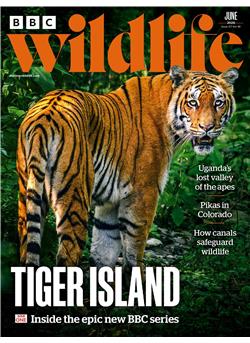 BBC Wildlife Cover