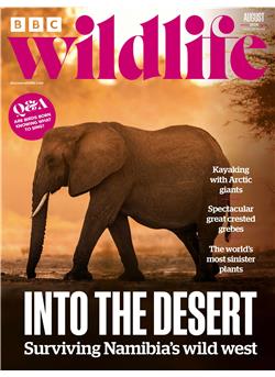 BBC Wildlife E-Paper Cover