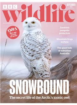 BBC Wildlife E-Paper Cover