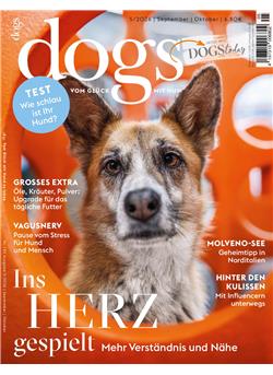 Dogs E-Paper Cover