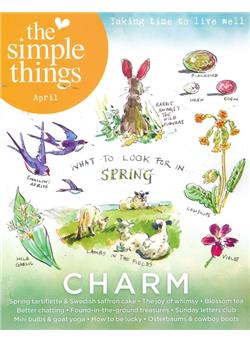 Simple Things (UK) Cover