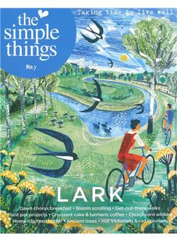 Simple Things (UK) Cover