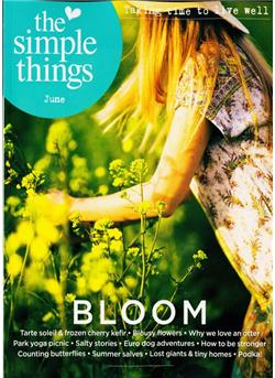 Simple Things (UK) Cover