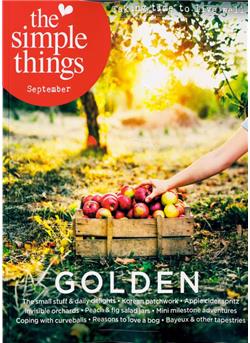 Simple Things (UK) Cover