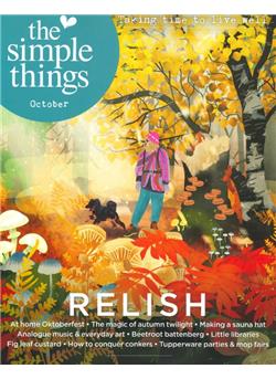 Simple Things (UK) Cover