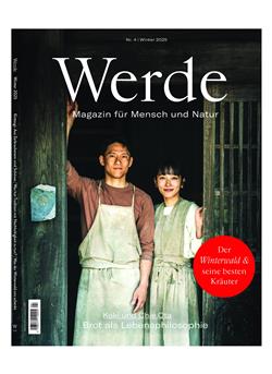 Werde E-Paper Cover