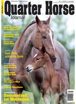 Quarter Horse Journal Cover