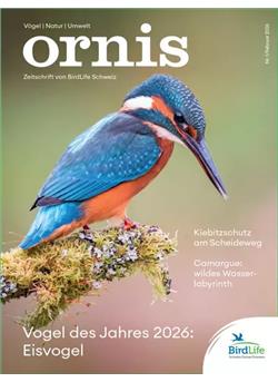 Ornis Cover